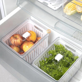 Kit 4 Organizador de geladeira Tampa Multiuso Alimento Verdura e Vegetal
