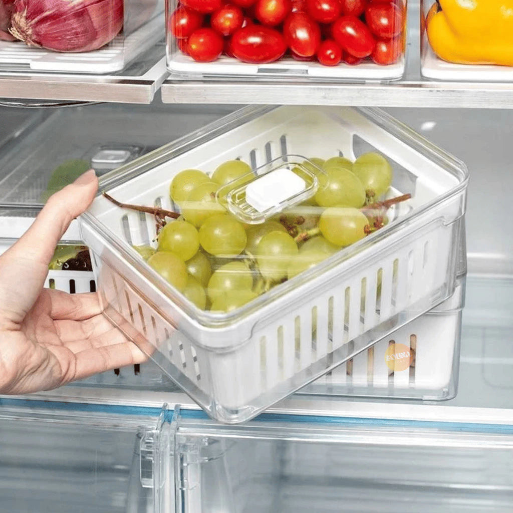 Kit 4 Organizador de geladeira Tampa Multiuso Alimento Verdura e Vegetal